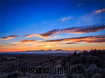 虞如婳祁昭推荐免费新书 -虞如婳祁昭小说阅读无弹窗