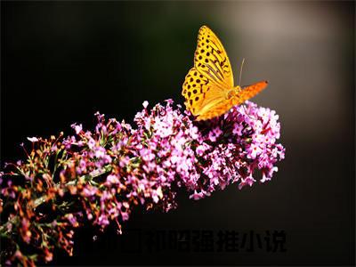 虞如婳祁昭免费阅读无弹窗大结局-虞如婳祁昭最新全章节全文阅读免费阅读-笔趣阁