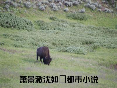 萧景澈沈如玥小说（萧景澈沈如玥）无弹窗大结局- 萧景澈沈如玥全文阅读