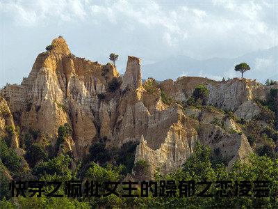 快穿之疯批女主的躁郁之恋凌芸全文免费阅读-快穿之疯批女主的躁郁之恋凌芸最新章节小说阅读