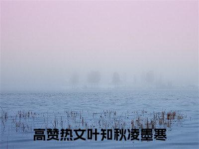 叶知秋凌墨寒全本资源（叶知秋凌墨寒）全文免费阅读无弹窗大结局_叶知秋凌墨寒最新章节列表（叶知秋凌墨寒）