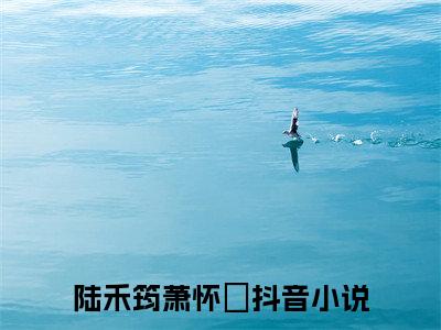 陆禾筠萧怀悰全文免费阅读（陆禾筠萧怀悰）全文免费阅读大结局_陆禾筠萧怀悰全文免费阅读无弹窗_笔趣阁