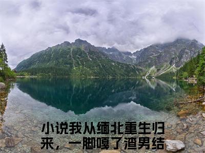 靳斯言陆知夏小说（我从缅北重生归来，一脚嘎了渣男）全文免费阅读大结局无删减_（我从缅北重生归来，一脚嘎了渣男）靳斯言陆知夏小说最新章节列表_笔趣阁