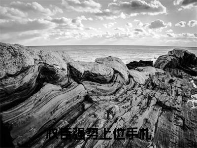 （权臣强势上位手札）全文免费阅读无弹窗大结局_杨青韶周锴免费最新章节列表_笔趣阁