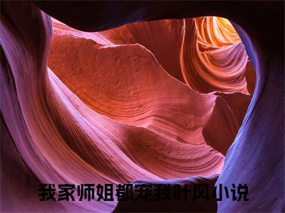 我家师姐都宠我叶风全文免费阅读无弹窗大结局-我家师姐都宠我叶风全文在线阅读