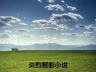炎烈黎影（炎烈黎影）最新章节在线阅读-小说炎烈黎影完整版阅读