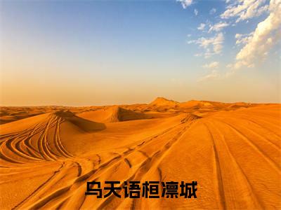 乌天语桓凛城（乌天语桓凛城）全文免费阅读无弹窗大结局_乌天语桓凛城最新章节列表_