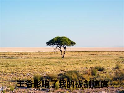 尚胧月落文宇全集章节小说免费阅读完整版（王爷影响了我的拔剑速度）-王爷影响了我的拔剑速度小说免费阅读