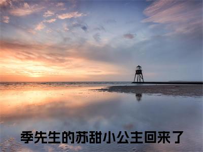 季先生的苏甜小公主回来了小说在线阅读全文无弹窗大结局_季宴礼苏南悦小说免费最新章节列表