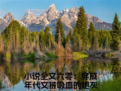 小说名字是：六零：穿成年代文被吸血的炮灰林秋的小说全文免费阅读-（六零：穿成年代文被吸血的炮灰林秋小说免费阅读）六零：穿成年代文被吸血的炮灰林秋正版小说免费阅读_笔趣阁