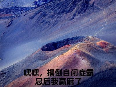 林稚厉观衍全文免费阅读_（嘿嘿，撂倒自闭症霸总后我赢麻了小说）林稚厉观衍言情小说在线阅读笔趣阁（嘿嘿，撂倒自闭症霸总后我赢麻了）
