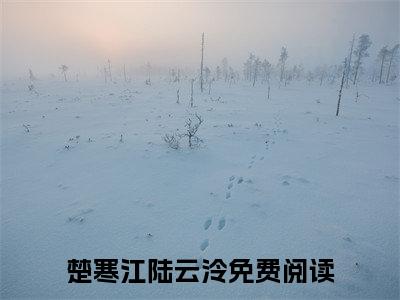 楚寒江陆云泠（楚寒江陆云泠）小说全文免费阅读_（楚寒江陆云泠）小说全文无删减版在线阅读
