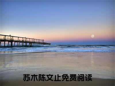 苏木陈文止（苏木陈文止）全文免费阅读无弹窗大结局_(苏木陈文止免费阅读)最新章节列表_笔趣阁