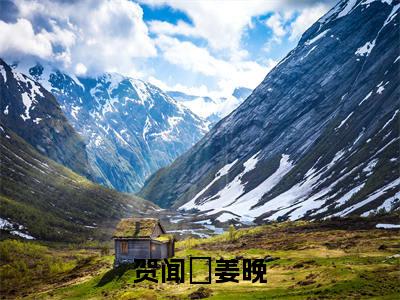 贺闻璟姜晚小说免费阅读-贺闻璟姜晚全文小说全章节阅读