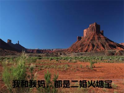(我和我妈，都是二婚火塘宝)小说免费阅读无弹窗_（我和我妈，都是二婚火塘宝免费阅读）我和我妈，都是二婚火塘宝小说最新章节列表_笔趣阁（我和我妈，都是二婚火塘宝下载）