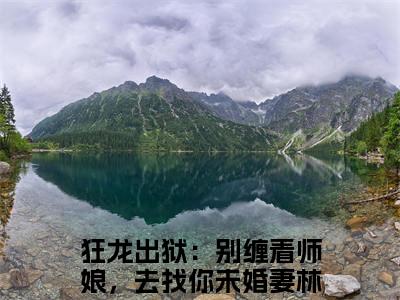 老书虫良心推荐《狂龙出狱：别缠着师娘，去找你未婚妻林川》狂龙出狱：别缠着师娘，去找你未婚妻林川小说精彩免费试读