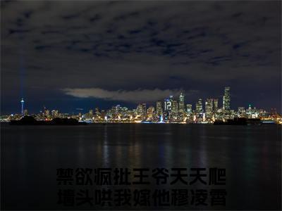 禁欲疯批王爷天天爬墙头哄我嫁他穆凌霄全文（禁欲疯批王爷天天爬墙头哄我嫁他穆凌霄）全文免费阅读无弹窗大结局_禁欲疯批王爷天天爬墙头哄我嫁他穆凌霄免费最新章节列表_笔趣阁