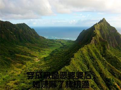 （穿成极品恶婆婆后，她赚麻了林初渔）小短篇小说免费阅读-强推穿成极品恶婆婆后，她赚麻了林初渔主角的小说