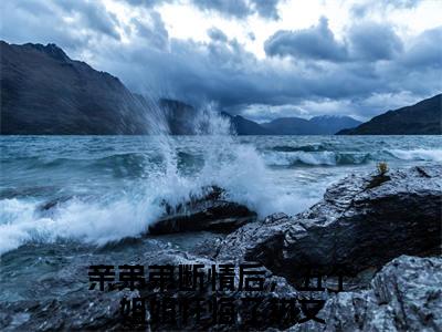 祁天陈芷涵全文（亲弟弟断情后，五个姐姐忏悔了）全文免费阅读无弹窗大结局_（亲弟弟断情后，五个姐姐忏悔了）祁天陈芷涵最新章节列表