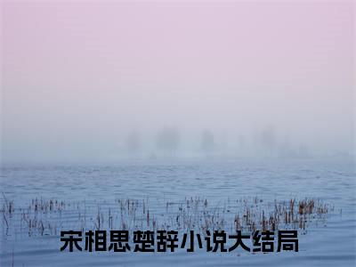 宋相思楚辞免费阅读无弹窗大结局-宋相思楚辞最新全章节全文阅读免费阅读-笔趣阁