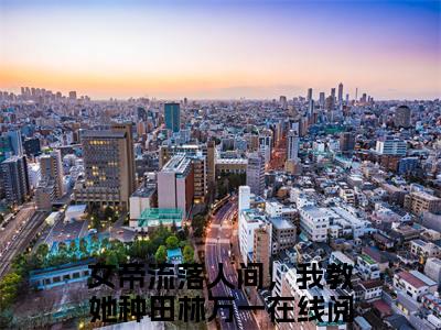 全网热搜小说（女帝流落人间，我教她种田林万一）的小说完整版免费阅读 主角是女帝流落人间，我教她种田林万一无弹窗免费阅读