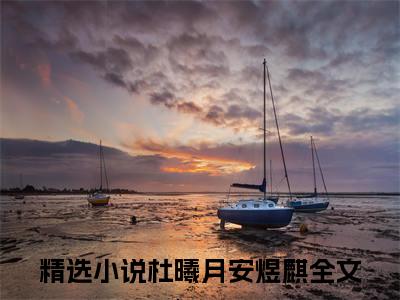 杜曦月安煜麒无广告小说免费阅读，杜曦月安煜麒完结小说在线阅读
