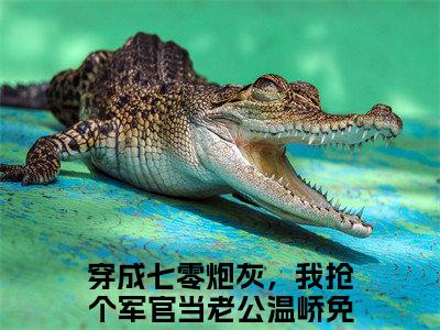 穿成七零炮灰，我抢个军官当老公温峤阅读无弹窗大结局_穿成七零炮灰，我抢个军官当老公温峤最新章节列表_笔趣阁