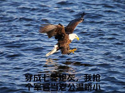 穿成七零炮灰，我抢个军官当老公温峤小说最新章节试读_穿成七零炮灰，我抢个军官当老公温峤是(穿成七零炮灰，我抢个军官当老公温峤)小说主角热门推荐_笔趣阁