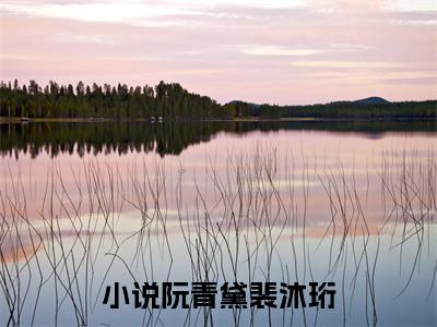 阮青黛裴沐珩(阮青黛裴沐珩)全文免费阅读无弹窗大结局_（阮青黛裴沐珩）的小说最新章节列表
