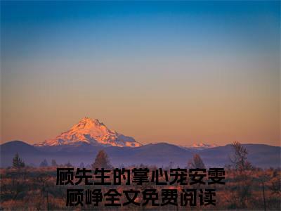 顾先生的掌心宠安雯顾峥（顾先生的掌心宠安雯顾峥）全文免费阅读无弹窗大结局_顾先生的掌心宠安雯顾峥全文免费阅读（顾先生的掌心宠安雯顾峥）最新章节列表_笔趣阁（顾先生的掌心宠安雯顾峥）