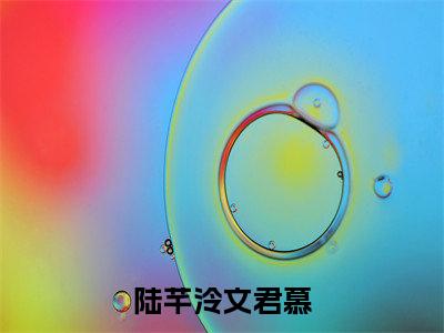 陆芊泠文君慕小说完整版阅读 陆芊泠文君慕呈全文在线赏析