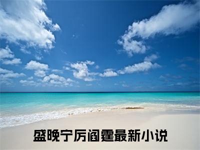 盛晚宁厉阎霆全文免费阅读 盛晚宁厉阎霆章节免费阅读