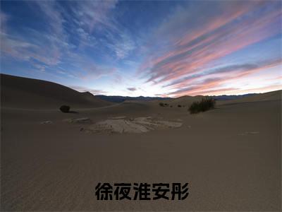 徐夜淮安彤(徐夜淮安彤)全文免费阅读无弹窗大结局_徐夜淮安彤免费阅读最新章节列表_笔趣阁（徐夜淮安彤）