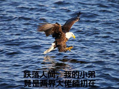 跌落人间，我的小弟竟是两界大佬楠初免费小说-跌落人间，我的小弟竟是两界大佬楠初完结版在线阅读