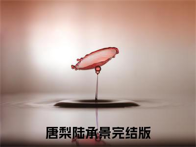 唐梨陆承景的小说(唐梨陆承景)最新章节全文免费阅读_笔趣阁