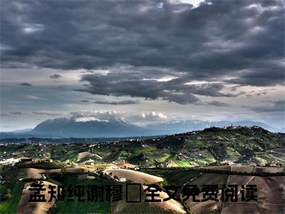 孟知纯谢穆柊免费小说 孟知纯谢穆柊全文阅读目录