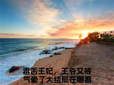 毒舌王妃，王爷又被气晕了小说免费下载（毒舌王妃，王爷又被气晕了完整全集已完结大结局小说）_顾南书江牧野免费阅读笔趣阁