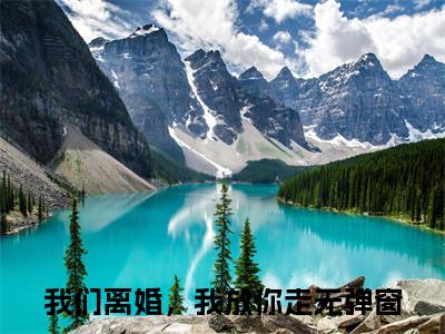 傅郁骁姜琪精彩小说赏析全文我们离婚，我放你走热门小说免费阅读