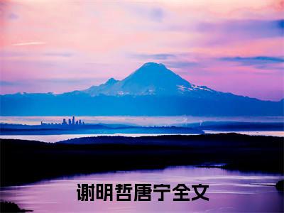 谢明哲唐宁（谢明哲唐宁）全文免费阅读无弹窗大结局_谢明哲唐宁最新章节列表_笔趣阁（谢明哲唐宁）