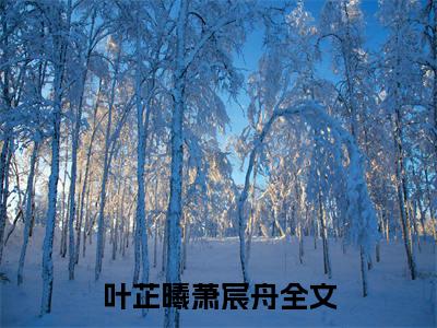 叶芷曦萧宸舟（叶芷曦萧宸舟）全文免费阅读无弹窗_叶芷曦萧宸舟最新小说_笔趣阁
