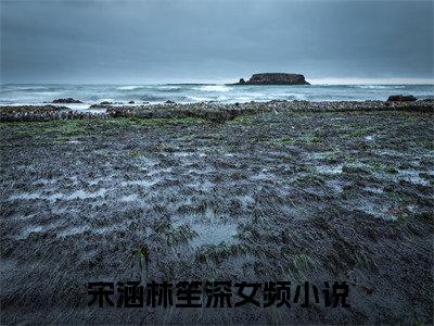 宋涵林笙深推荐免费新书，宋涵林笙深小说试读