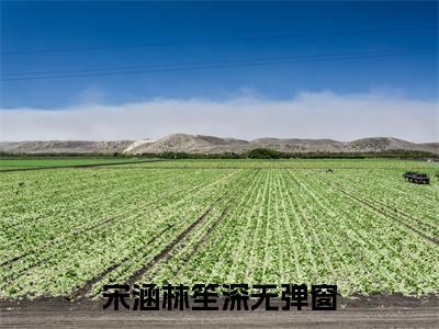 宋涵林笙深（宋涵林笙深）小说-宋涵林笙深小说免费最新章节列表