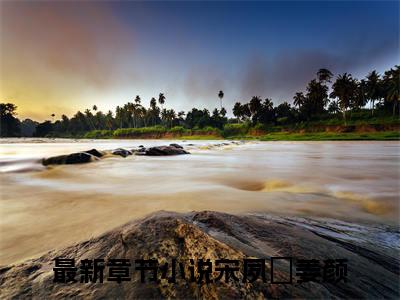 宋夙璟姜颜全文小说-（宋夙璟姜颜）最新章节在线阅读