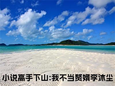 高手下山:我不当赘婿李沐尘免费阅读最新章节无弹窗 高手下山:我不当赘婿李沐尘完整版小说在线阅读