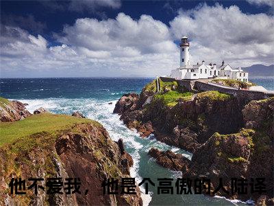 他不爱我，他是个高傲的人陆译小说（他不爱我，他是个高傲的人陆译）全文免费阅读无弹窗大结局_（他不爱我，他是个高傲的人陆译免费阅读）他不爱我，他是个高傲的人陆译最新章节列表_笔趣阁（他不爱我，他是个高傲的人陆译）