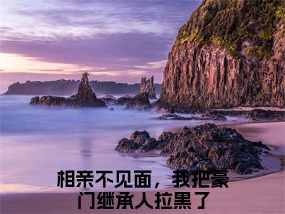 相亲不见面，我把豪门继承人拉黑了（从容霍霆琛）全文免费阅读_（从容霍霆琛）相亲不见面，我把豪门继承人拉黑了最新章节小说免费阅读_笔趣阁