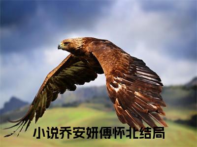 乔安妍傅怀北（乔安妍傅怀北）全文免费阅读无弹窗大结局_(乔安妍傅怀北)最新章节列表_笔趣阁