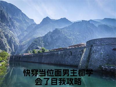 云妩顾桓知（快穿当位面男主都学会了自我攻略）全文阅读无弹窗大结局_云妩顾桓知免费阅读无弹窗最新章节列表