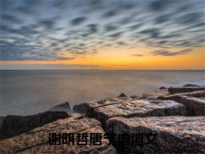 谢明哲唐宁全文免费阅读大结局-（谢明哲唐宁）最新章节列表在线阅读