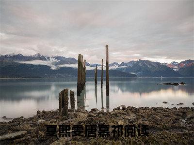 夏熙雯唐慕祁（夏熙雯唐慕祁）全文免费阅读无弹窗大结局-（夏熙雯唐慕祁）夏熙雯唐慕祁全文完结版阅读